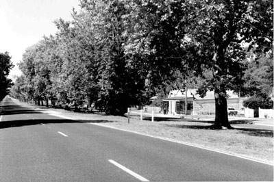 main_st_learmonth_2005_web