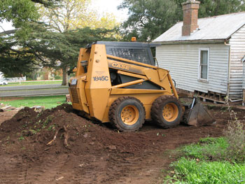 bobcat_1